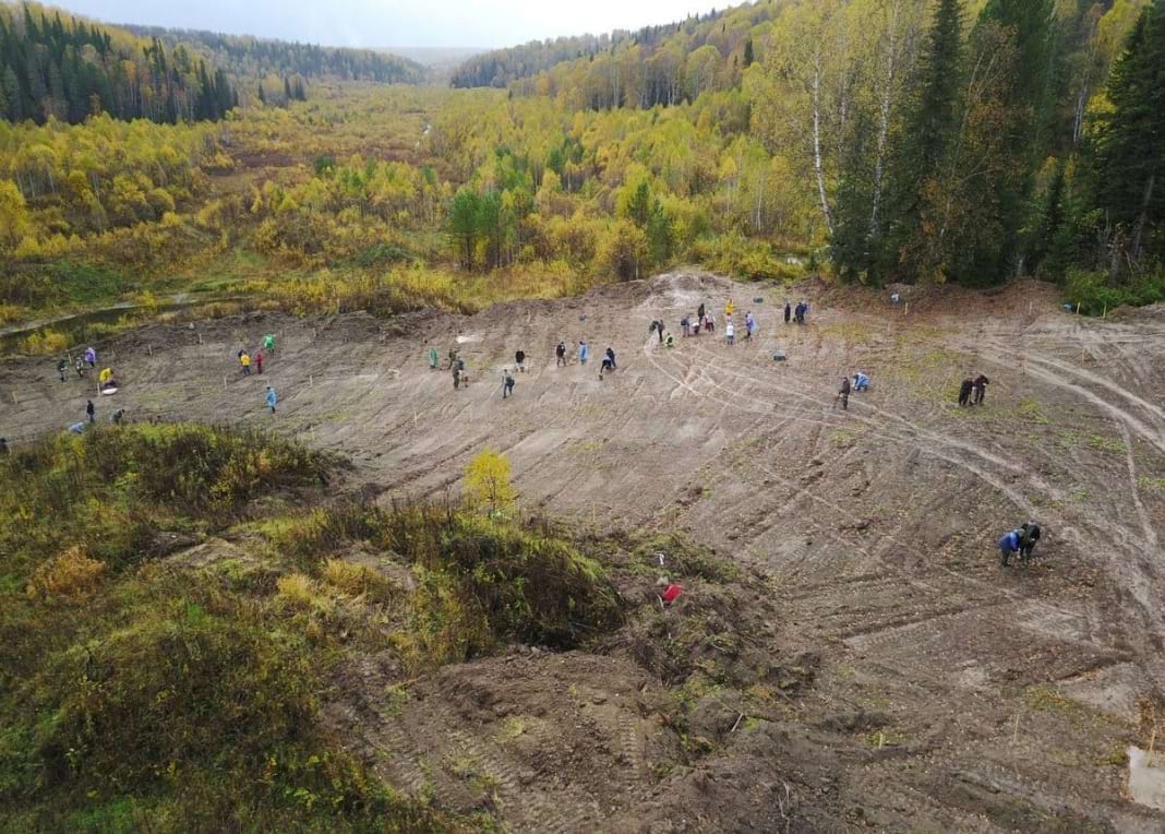 площадка 0 1