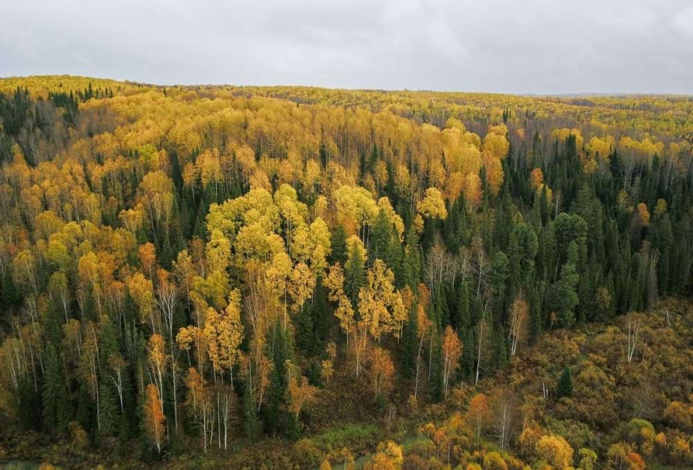 площадка 1 2