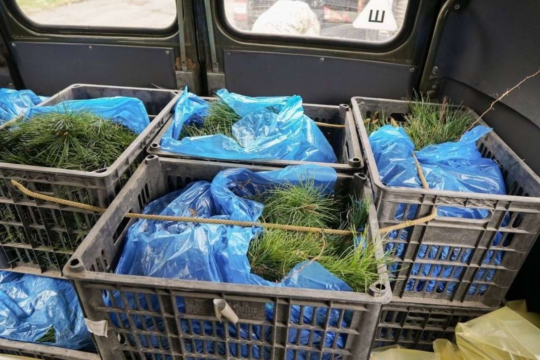 площадка 2 3